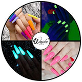 Dipping Nail Powder Wenida 10 Colors Glow in the Dark Iridescent Festival French Manicure Nail Art Set with Silicone Brush Nail Grit File 10 pcs False Nails