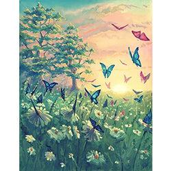 Butterfly Diamond Painting Full Drill Kits, Butterfly Diamond Art Kits for Adults and Kids,Diamond Painting Art Butterfly for Home Wall Decor 12x16inch