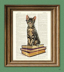 Book Cat In Cats Eye Glasses. Early Reader Kitten Illustration Beautifully Upcycled Dictionary Page Book Art Print