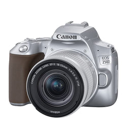Canon EOS 250D (Rebel SL3) DSLR Camera w/ 18-55mm is STM Lens (Silver) (International Model)
