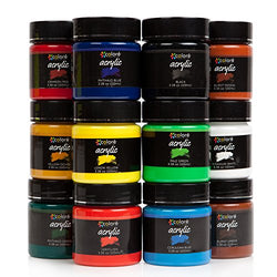 Pigma Rich Acrylic Paint Set for Adults & Kids Ideal for Painting Fabric, Canvas, Ceramic,
