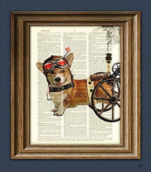 Admiral Wheels the Steampunk Corgi Dog Illustration Beautifully Upcycled Dictionary Page Book Art Print