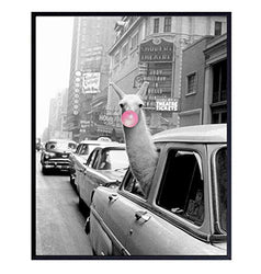 Funny New York City Photo - Gift for New Yorker, NYC, NY, Big Apple, Manhattan Fans - Taxi Wall Art Photograph - Llama Bubble Gum Picture Print - Vintage Retro Poster