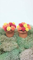 Fairy Garden Miniature Autumn Flower Pots. Dollhouse, Terrarium Decor.