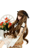 9-10 inch (22-24cm) 1/3 BJD/SD Doll Wig Lovely Long Curls Hair (Dark Brown)
