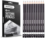Professional Drawing Sketching Art Pencils Set - 12 Graphite Drawing Pencils for Sketch Art and Shading 8B, 6B, 4B, 3B, 2B, B, HB, F, H, 2H, 4H, 6H Ideal for Beginners and Pro Artists