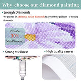 Diamond Painting Kits for Adults, DIY 5D Round Full Drill Crystal Diamond Embroidery Arts Craft, for Living Room Bedroom Mural Decoration (Bigger canvas13.7 X 17.7in) (Mushroom Starry Sky)