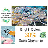 Diamond Painting Kits for Adults, 5D Full Drill Round Diamond Art Flowers and Butterfly Gem Art Supply for Home Wall Deco (Diamond Dotz 12x16inch)