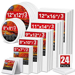 ESRICH 24 Pack Canvases for Painting with 4x4", 5x7", 8x10", 9x12", 11x14", 12x16", Round Canvas with 12x12", 8x8", 3 of Each, Painting Canvas for Oil & Acrylic Paint