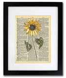 Sunflower - Vintage Sunflower Vintage Art - Authentic Upcycled Dictionary Art Print - Home or Office Decor (D308)