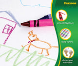Crayola 208 Count Crayon Collection with Coloring Pages, Amazon