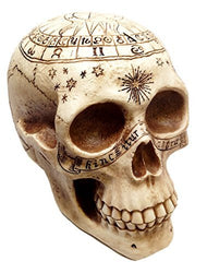 Atlantic Collectibles Solar Astrology Celestial Skull Statue Ancient Prophecy Cartography Relic Map