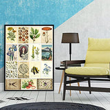 Vintage Wall Collage Kit Aesthetic 70 PC Cottagecore Room Decor for Girls, Farmcore Posters Vintage Room Decor Aesthetic Pictures 4x6 inch,Botanical Trendy Wall Art (Vintage Aesthetics)