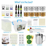 Candle Making Kit Supplies, Soy Wax DIY Candle Craft Tools for Adults and Kids, Including Melting Pot, Soy Wax, Rich Scents, Dyes, Wicks, Tins and More