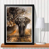Bealatt 5D DIY Diamond Painting by Number Kits, Painting Cross Stitch Full Drill Elephant Animal Rhinestone Embroidery Pictures Arts Crafts for Home Wall Decor, Diamond Puzzles for Adults, 12x16 Inch