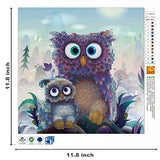 DIY 5D Diamond Painting by Number Kit, Two Owls Crystal Rhinestone Embroidery Cross Stitch Arts Craft Supply Canvas Wall Decor