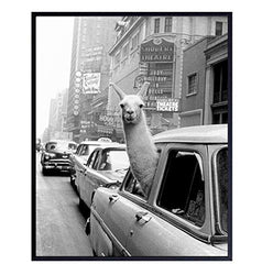 New York City Photograph - Llama in NYC Taxi Wall Art Photo - 8x10 Picture Print - Gift for New Yorker, NY, Big Apple, Manhattan Fans - Unframed Poster