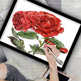 A2 Ultra-Thin Portable LED tracing Light Box Dimmable Brightness LED Art Tracing Pad for Artist Drawing Sketching Animation Stencilling and 5d Diamond Painting