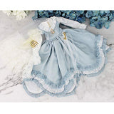 HMANE BJD Dolls Clothes 1/4, Royal Court Retro Flowery Multilayer Dress for 1/4 BJD Doll - (Light Blue) No Doll