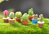 yueton 7pcs Cactus & Flower Pot Plant Miniature Ornament Set for Dollhouse Decor Fairy Garden