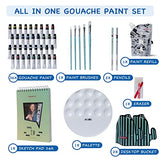HIMI Gouache Paint Set-49 PCS Painting Kit 36 Colors - Highly Pigmented Gouache for Painting, Artists, Illustrators & Designers - 12 ML Assorted Color Tubes (0.4oz)