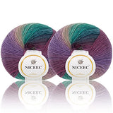 NICEEC 2 Skeins Rainbow Soft Yarn 100% Wool Gradient Multi Color Yarn for Crocheting Knit Total Length 180m×2(196yds×2,50g×2)-5#