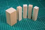 BeaverCraft premium Basswood Wood Carving Block Kit – Whittling Blanks Beginners Soft Wood Carving Blocks Set – Unfinished 5 Large Pieces