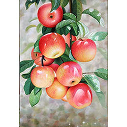 QYDFCA 5D DIY Full Round Diamond Painting Fresh Apple Tree Embroidered Fruit Cross Stitch Home decor12x16Inch