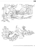 135 Gunstock Carving Patterns (Fox Chapel Publishing) A Treasury of Classic Designs to Beautify Any Firearm, including Deer, Elk, Bears, Oak Leaves, Fishscale, Basketweave, Checkering, Scrolls, & More