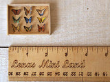 Miniature Butterfly Display Case. Dollhouse Accessories Wooden Box Frame Mounted