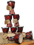 Djembe Drum Carved Bongo African inspired music also a unique gifting idea. Carver Abstract Elephant Giraffe Turtle. (8 Inch, Elephant)