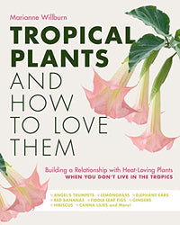 Tropical Plants and How to Love Them: Building a Relationship with Heat-Loving Plants When You Don't Live In The Tropics - Angel’s Trumpets – ... – Gingers – Hibiscus – Canna Lilies and More!