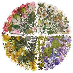 Molshine 160pcs PET Transparent Decorative Stickers - Various Shapes Flower Plant Series Foral Decals for DIY,Personalize,Decoration,Laptops,Scrapbook,Luggage,Cars,Books