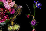 Flora Magnifica: The Art of Flowers in Four Seasons