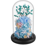 DeFaith Real Rose in Glass Dome, 9'' Beloved Series Preserved Fresh Rose Flowers for Anniversary