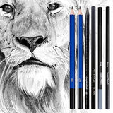 JOY SPOT! 42 Pack Drawing Sketch Kit, Pencil Art Set with 2 Big Sketchbooks 9x12 5.5X 8.5, Graphite and Charcoal Pencils, Pro Art Drawing Kit for Artists, Adults, Teens, Beginner, Kids