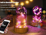 SWEETIME Enchanted Rose Lamp with Bluetooth Speaker, Real Flower LED Night Light, Preserved Pink