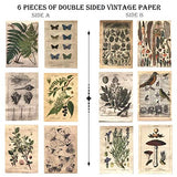 DESEACO Vintage Aesthetic Botany Adhesive Washi Decorative Sticker For Scrap Booking, Antique Plants Floral Butterfly Paper Retro Decals Journaling Supplies Aesthetic for Diary Nature Journal Embellishment (Artsy Crafts Plant Journal Material Pack)