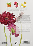A-Z of Flower Portraits: An illustrated guide to painting 40 beautiful flowers in watercolour