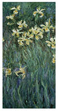 The Yellow Irises by Claude Monet, 12x24-Inch Canvas Wall Art