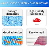 2 Pack 5D Diamond Painting Kits for Adults Clearance and Kids Beginner,16"X12"Glow Butterfly Bottle Round Full Drill Crystal Rhinestone Embroidery Cross Stitch Arts Craft Canvas for Home Decor