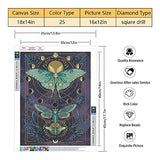 DIY 5D Diamond Painting Kit for Adult Round Full Drill Rhinestone Embroidery Cross Stitch Moon Night Butterfly Insect Diamond Craft for Home Wall Decor 12 in x16 in