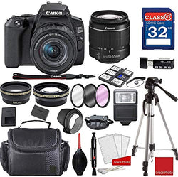 Canon EOS 250D / Rebel SL3 DSLR Camera with 18-55mm III Lens + Professional Accessory Bundle