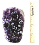 JIC Gem Natural Class 1 Polished Deep Purple Uruguay Amethyst Crystal Cluster Home Decor: 1-2 Lb