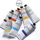 Gamblin Artist Oil Color Paint - Professional Curated Collection of 24 Assorted Colors - 37ml Tubes