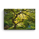 Startonight Canvas Wall Art - Beautiful Green Maple, Nature Framed 32 x 48 Inches