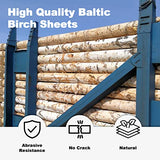 Consmos Baltic Birch Plywood 3mm 1/8" 12" x 20" Craft Wood B/BB Grade Baltic Birch Sheets, Pack of 6 Plywood Perfect for Arts and Crafts, DIY Projects, Drawing, Painting, Laser, Wood Engraving