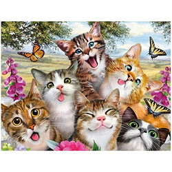 DIY 5D Diamond Painting Kits for Adults Kids, Six Cats in Manor Diamond Colorful Painting by Round Diamonds,Diamond Art for Home Wall Decoration Gift(15.7"x11.8")