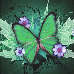 Animal Diamond Painting Kits for Adults, 5D Crystal Diamonds Art with Accessories Tools, Green Beautiful Butterfly DIY Art Dotz Craft for Home Décor, Ideal Gift or Self Painting