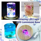 Catcrafter Cylinder Epoxy Resin Mold Set - Led Light Table Lamp Stand Silicone Candle Molds Making DIY Kit Accessories Craft Supplies for Office Art Cool Dried Flower Gold Glitter Wooden Sticks